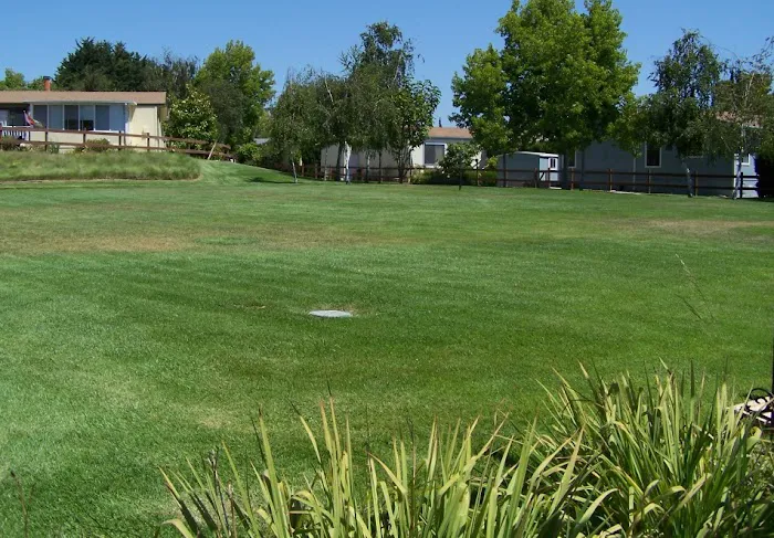 Sunnyhills Mobile Home Community Picture 9