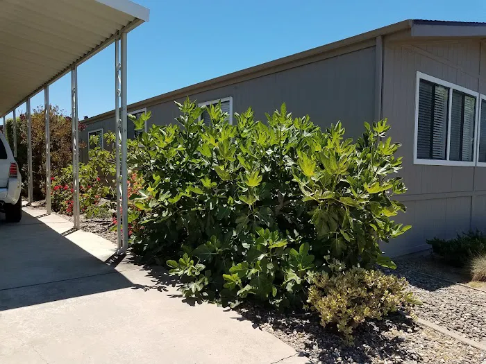 Sunnyhills Mobile Home Community Picture 2