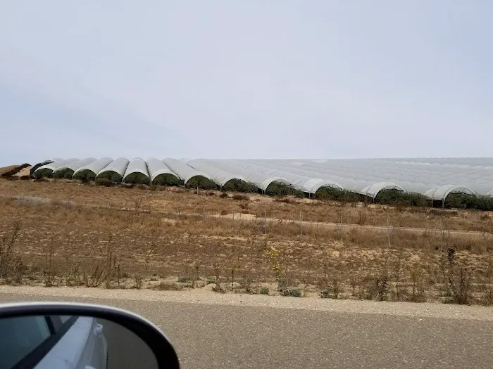 Knollwood Village Picture 7