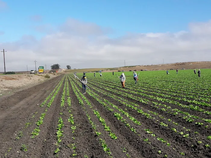 Orcutt Ranch Mobilehome Ests Picture 5