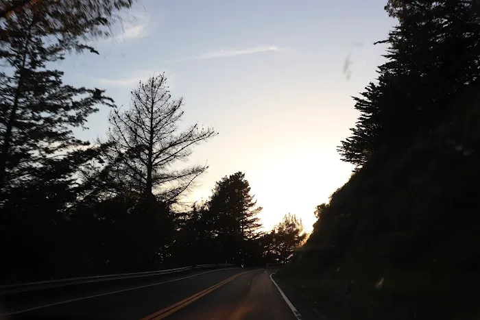 Quail Meadows East Picture 2