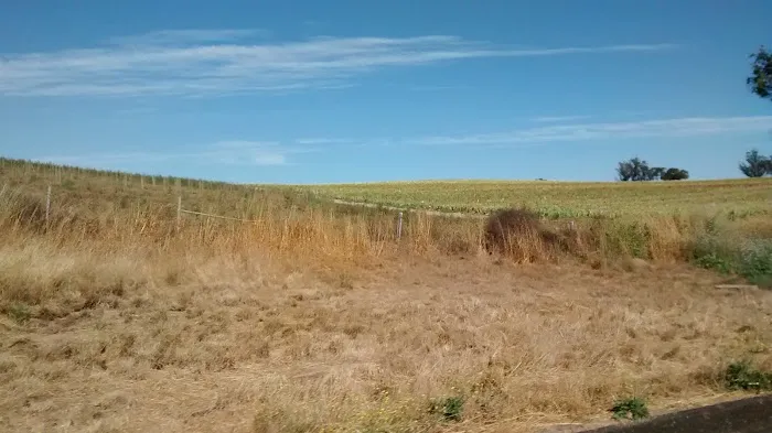 Quail Meadows East Picture 1