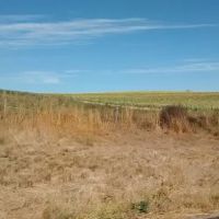 Quail Meadows East ico