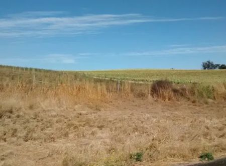 Quail Meadows East