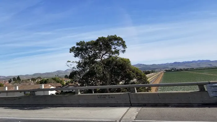 Quail Meadows East Picture 5