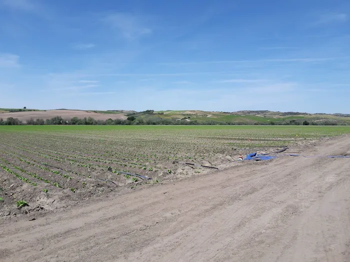 Airport Mobile Home Park Picture 10