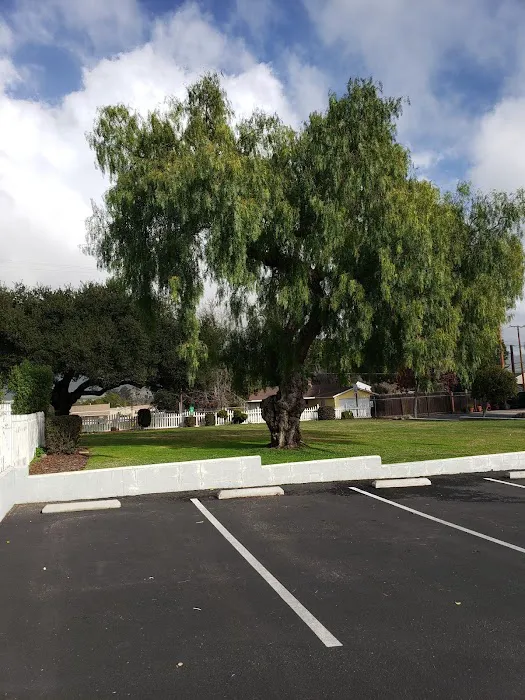 Buena Vista Mobile Home Park Picture 7