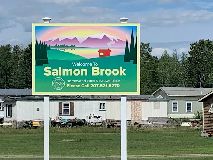 Salmon Brook Picture 6