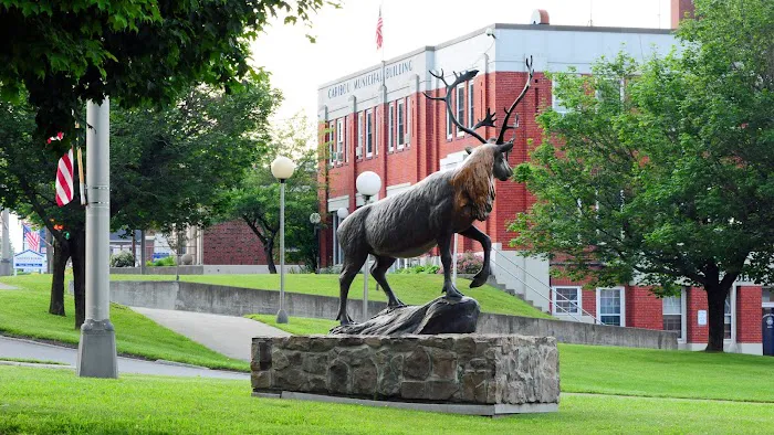 Caribou Stream Picture 1