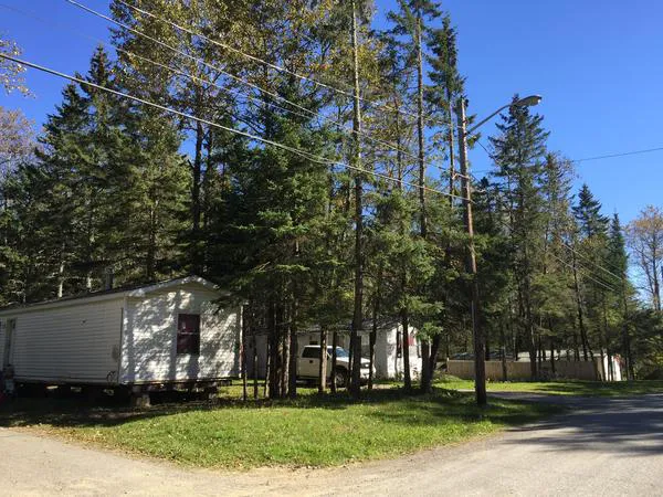 Caribou Stream Picture 3