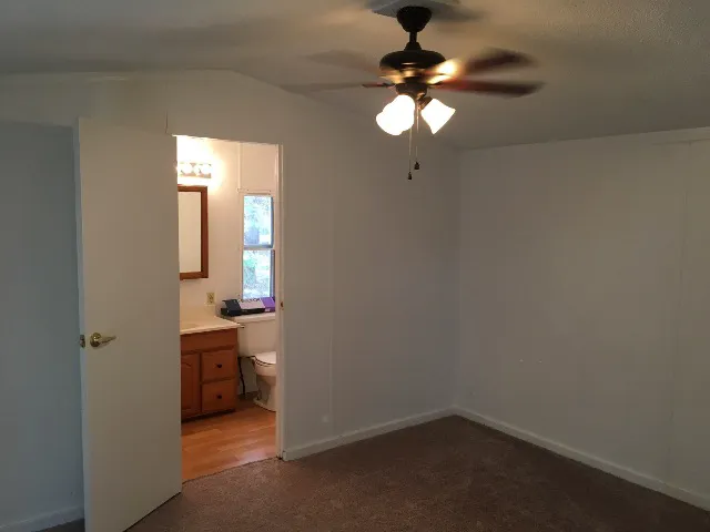 Caribou Stream Picture 2