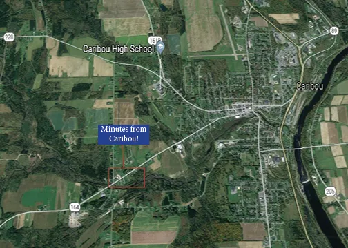 Caribou Stream Picture 5