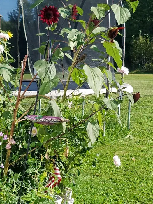 Sunny Slope Trailer Park Picture 4