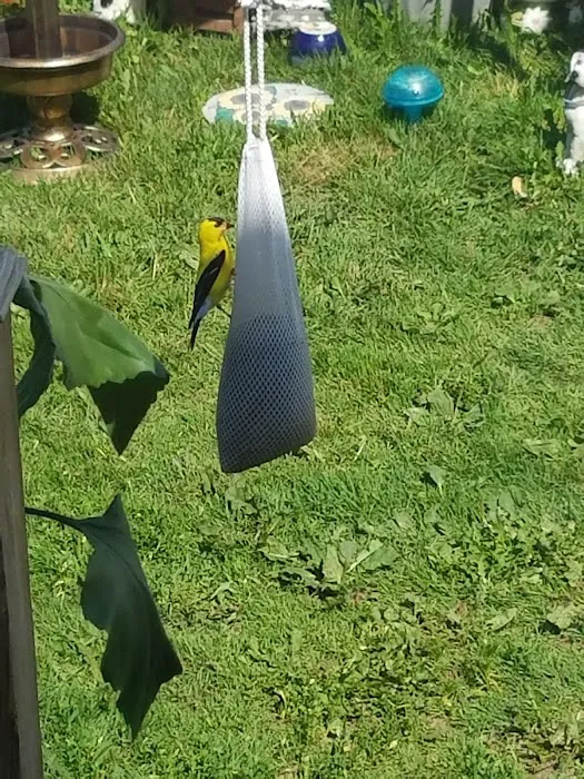 Sunny Slope Trailer Park Picture 8