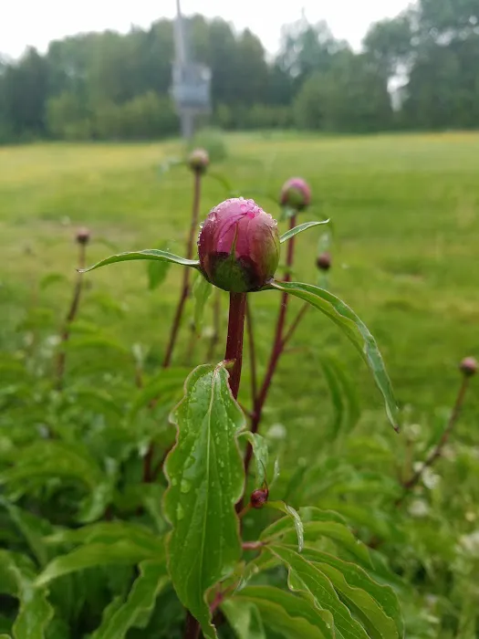 Sunny Slope Trailer Park Picture 1