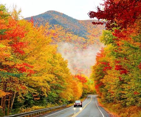 Caseyu2019s Trailer Park