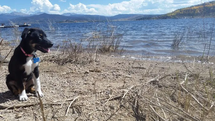 Lakeshore Mobile Home and RV Park Picture 7