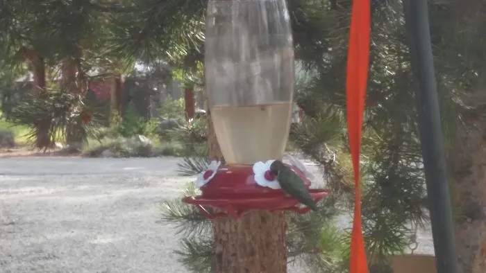 T Lazy W Park Picture 1