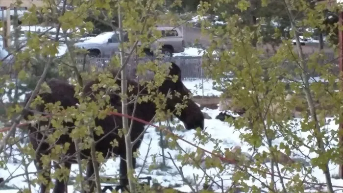 T Lazy W Park Picture 3