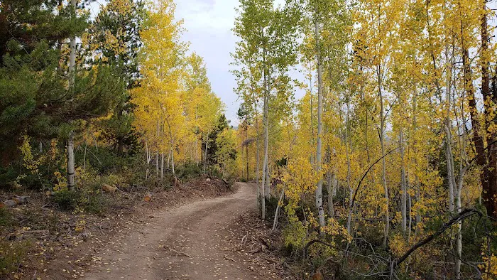 Roadside Trailer Park Picture 10