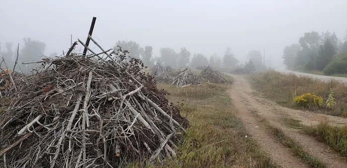 Roadside Trailer Park Picture 4