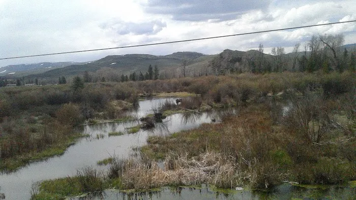 Roadside Trailer Park Picture 3