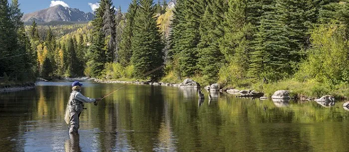 Smith Creek Crossing Picture 10