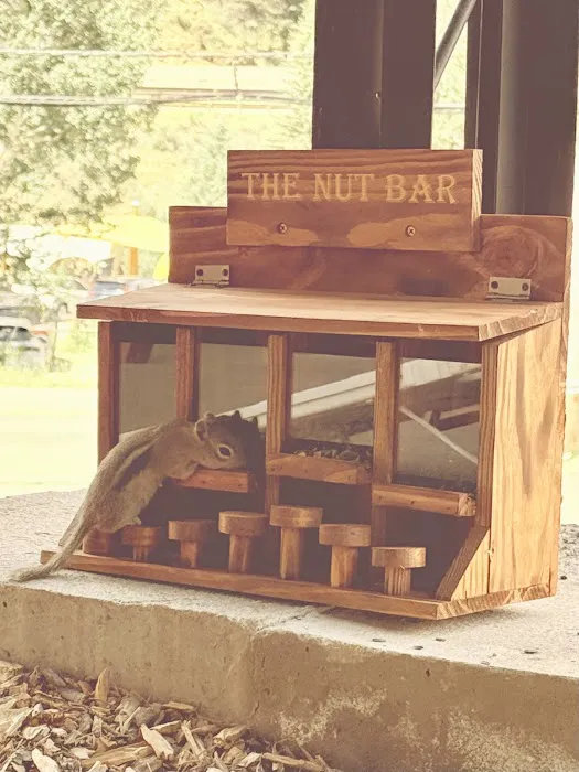 Idaho Springs RV Resort & Campground Picture 1