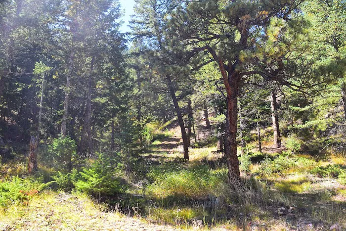 Idaho Springs RV Resort & Campground Picture 6