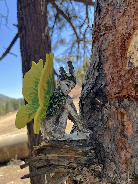 Idaho Springs RV Resort & Campground Picture 4