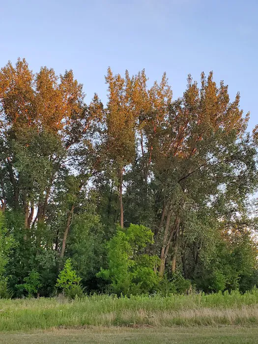 WestRich RV Park & Campground Picture 4