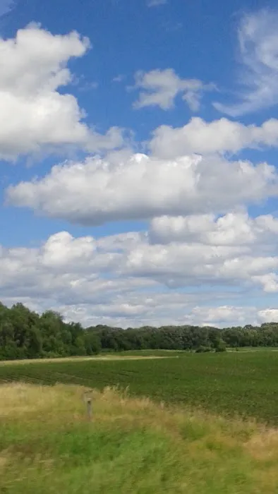 WestRich RV Park & Campground Picture 2