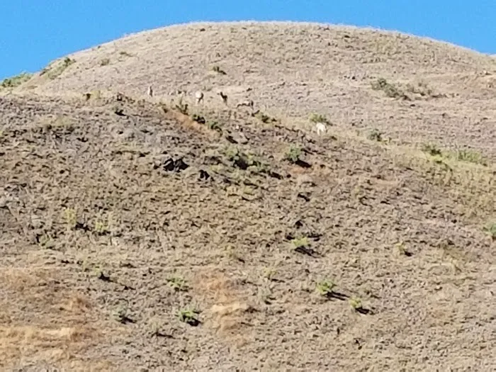 Yellowstone RV Park Picture 2