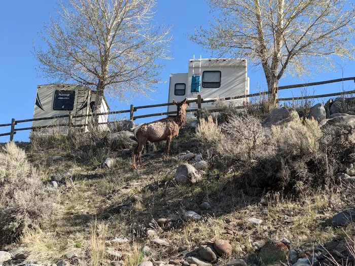 Yellowstone RV Park Picture 3