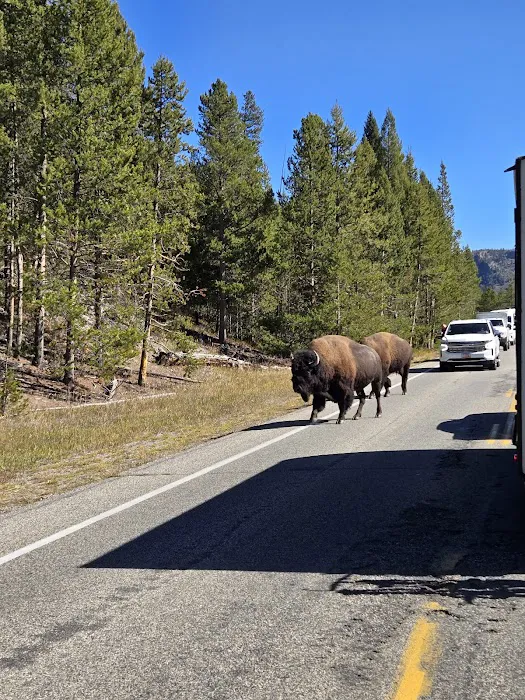 Yellowstone RV Park Picture 5