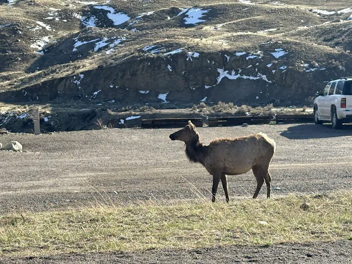 Yellowstone RV Park Picture 7