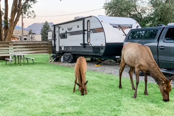 Sun Outdoors Yellowstone North Picture 4