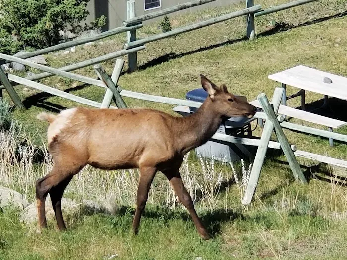 Sun Outdoors Yellowstone North Picture 3