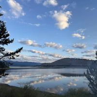 Madison Arm Resort ico