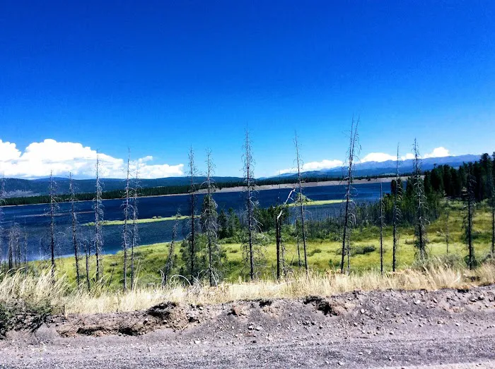 Madison Arm Resort Picture 6