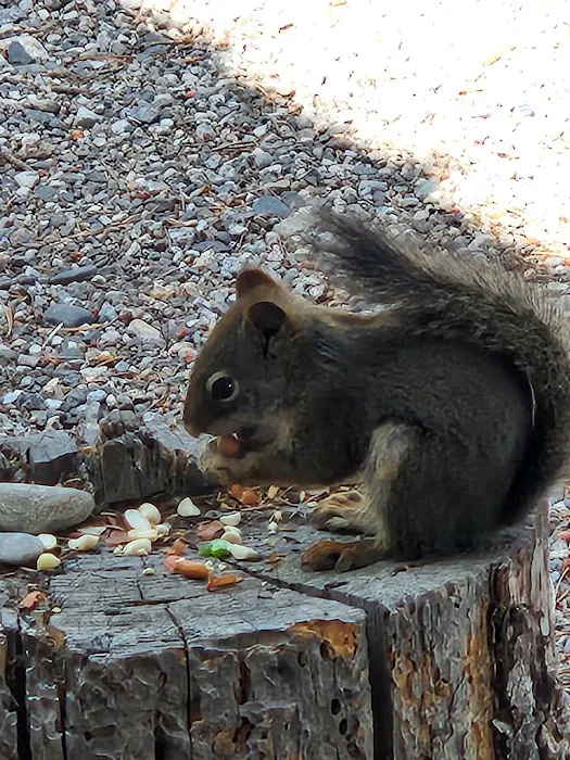 Wagon Wheel RV Campground Picture 1