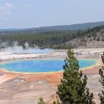 Yellowstone Grizzly RV Park