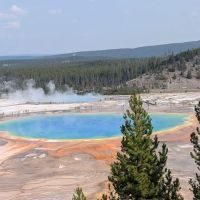 Yellowstone Grizzly RV Park ico