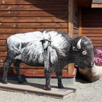 Buffalo Crossing RV Park ico