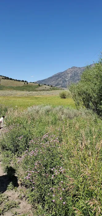 Bill Frome Memorial County RV Park Picture 3