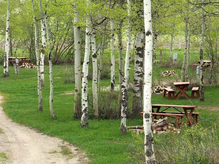 Yellowstone Golf Resort @ Aspen Acres RV Park Picture 4