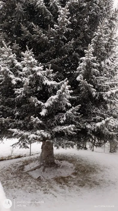 Mill Hollow Community Picture 3