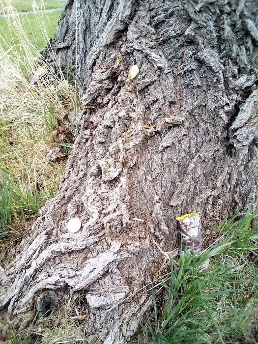 Mill Hollow Community Picture 8