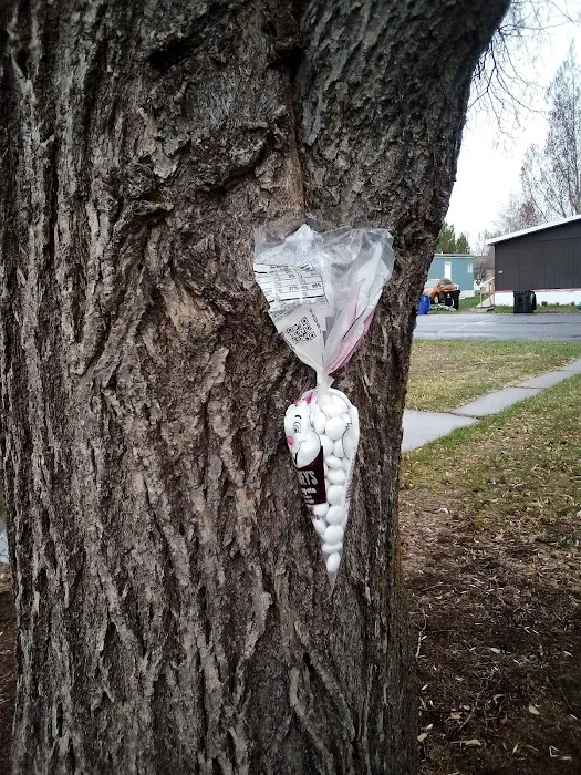 Mill Hollow Community Picture 6