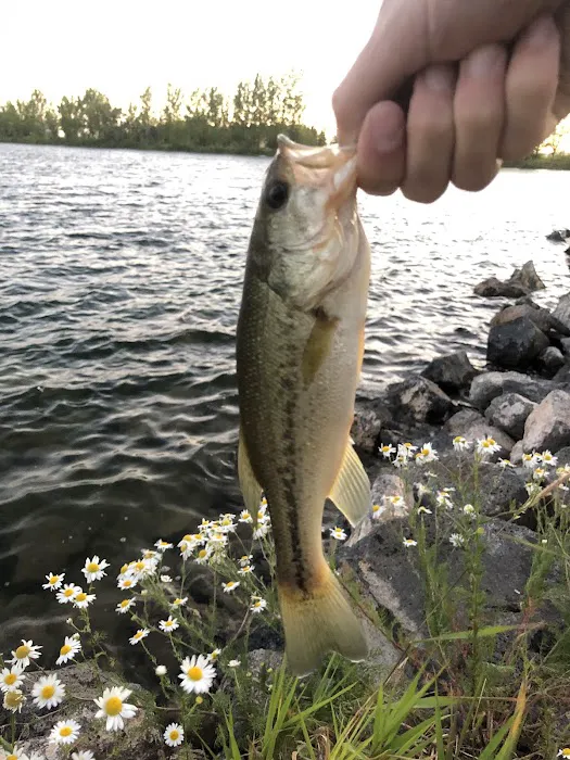 Wakeside Lake RV Park Picture 4